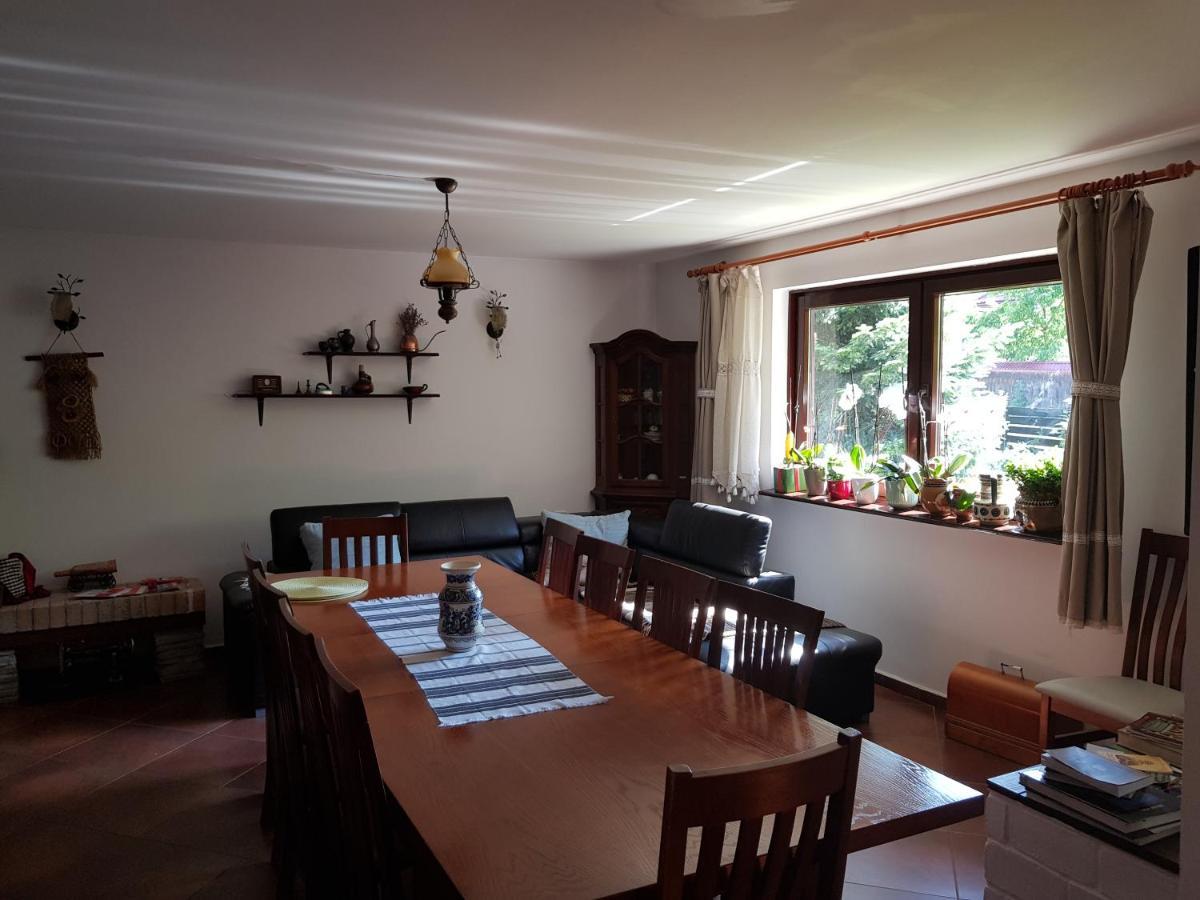 Pensiunea Daria Putna Extérieur photo