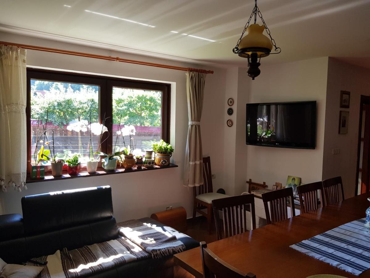 Pensiunea Daria Putna Extérieur photo